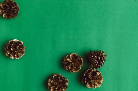 Golden pine cones isolated on the green background with copy space.の写真素材