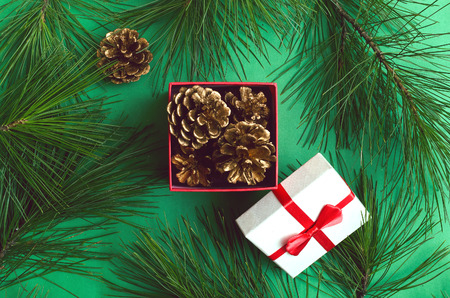 Open Christmas present gift box full of golden pine cones and pine tree branches on the green color...
