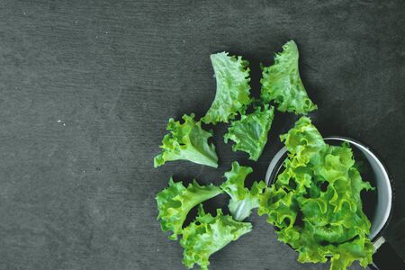Green lettuce leaves in kitchen ladle on stone cutting board on kitchen table.の写真素材