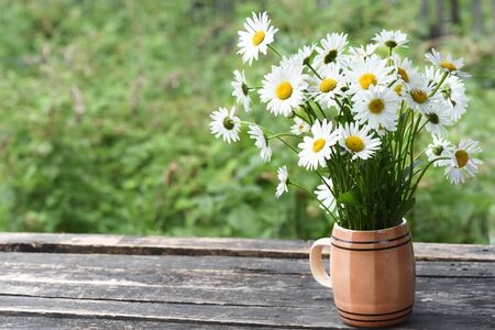 Bouquet of chamomile flowers in a old mug on a wooden garden background with copy space.の写真素材