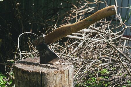 Axe in a wooden stump on a garden yard background.