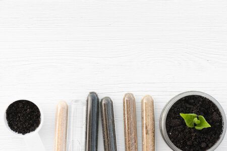 Samples of different types of soil in test tube and green plants in the jar on the table. Soil...