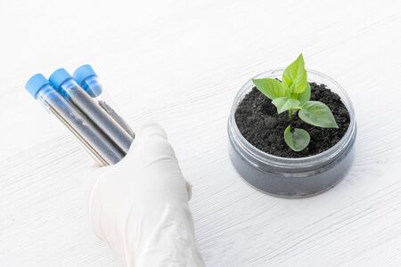 Samples of different types of soil in test tube and green plants in the jar on the table. Soil...