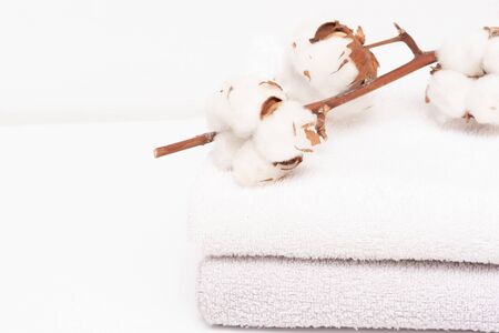 Cotton towels and cotton tree branch on white background.の写真素材