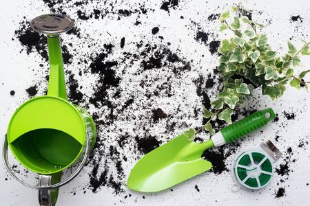 Green plant in a flower pot, garden shovel, watering can and soil on white wooden table background with copy space.の写真素材