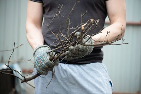 Man cleans the garden and burns brushwood in a barrel.