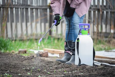 Gardener with garden sprayer in hands close up.の写真素材