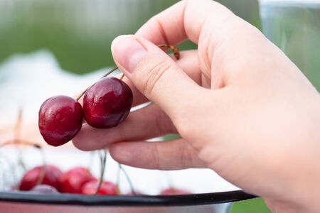 Female hand with cherries berry close up.