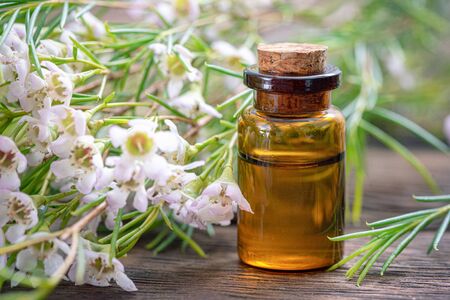 Heather essential oil in a small bottle closeup.の写真素材