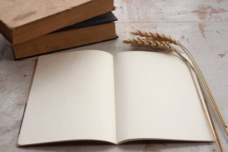 Open blank page book with a copy space and a rye branch on an old rustic white table background.