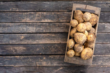 Raw potato crop in a wooden box on garden table background with copy space.の写真素材