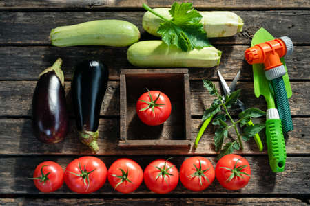 Garden tools and vegetables crop on wooden table background.の写真素材