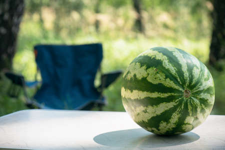 A watermelon on the tourist table on the green forest background.の写真素材