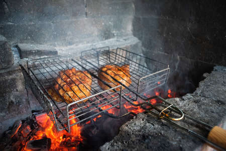 Turkey meat on the barbecue grill close up.