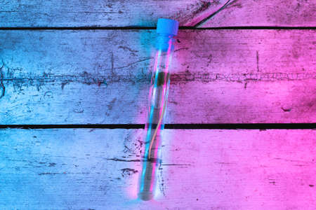 A plant stem in the test tube in the lights of phyto lamp concept.の写真素材