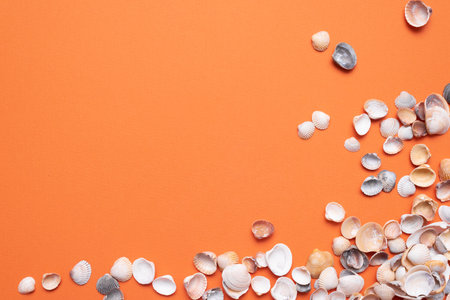 Heap of seashells on the orange flat lay background with copy space.の写真素材