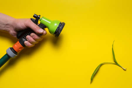 Garden water sprinkler in the gardener hand and green plant leaves on the yellow flat lay...