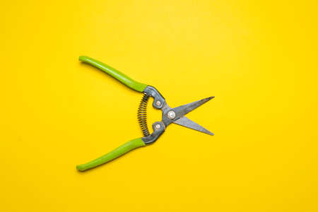 Garden pruner on the yellow flat lay background.の写真素材