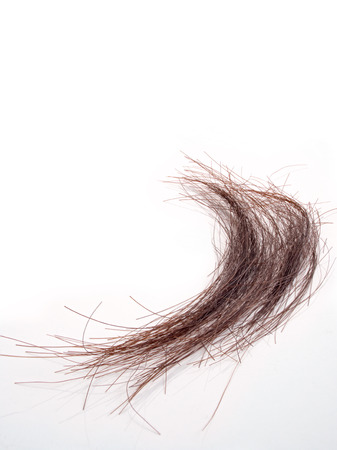 Bunches of hair in dark brown colorの写真素材