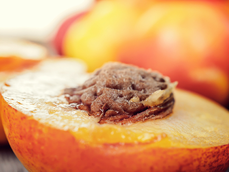 Fresh ripe nectarine peach, crop harvest rustic background, healthy, organic, diet fruit food, slice with stone, full fruitの写真素材