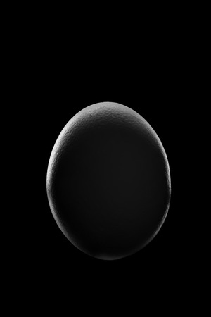 New Moon Phase show by Egg in night with shadow Planetの写真素材