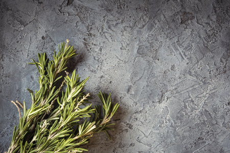 Branch bunch fresh rosemary spicesの写真素材