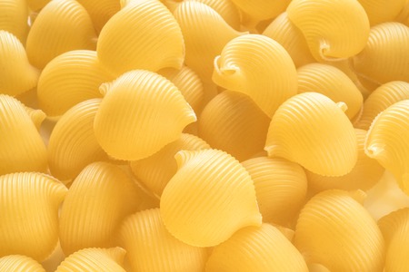 Food background Uncooked Macaroni Lumaconi close-up macro Concept set of ingredients for Pasta