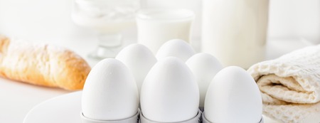 Still life breakfast, morning, protein products: milk, cottage cheese, sour cream, cream, cheese,...