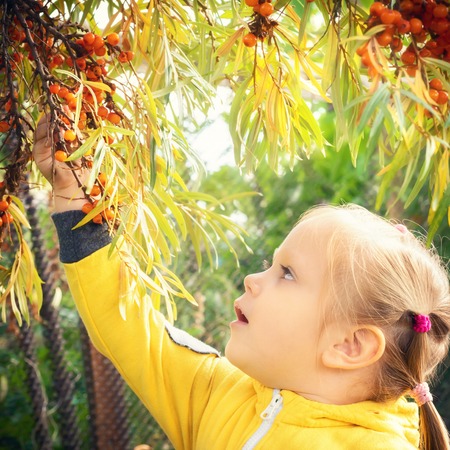 Little girl baby in yellow jumpsuit suit with blond hair gathers and bites off eats seasonal...