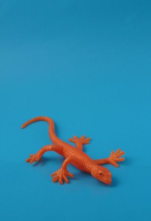 An orange gecko toyの写真素材