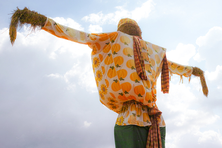 Scarecrow in Fieldの写真素材