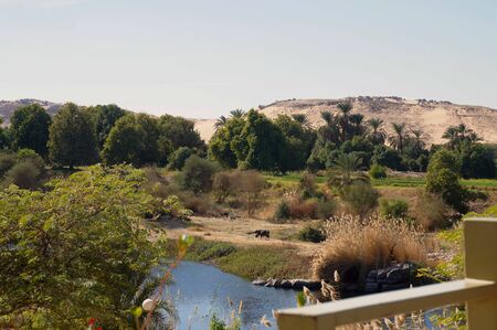 view of the nile river in Aswan in Egyptの写真素材