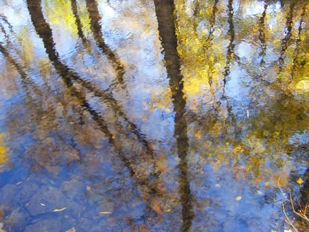 Autumn reflections of trees in the river Salgir, Crimea, Ukraine      の写真素材
