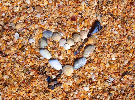 Heart and arrow made of sea-shells on a sea-shells coastの写真素材