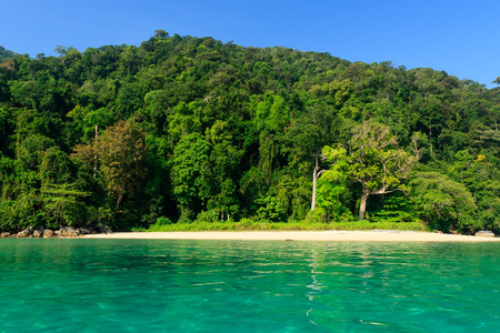 Surin islands, Phang-nga Thailand.の写真素材