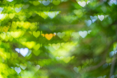Abstract blurred heart shaped lights