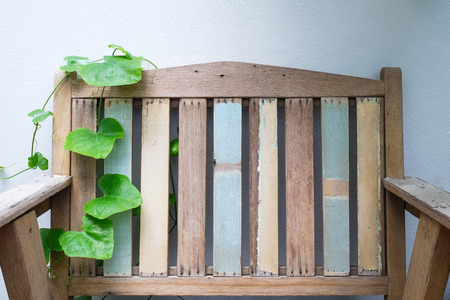 Old wooden chair and coccinia grandis (Ivy Gourd) with white wall background.の写真素材