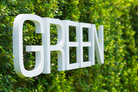 "Green" word on green leaf wall background.の写真素材