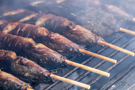 Grilled walking catfish. grilled fish on stove.の写真素材