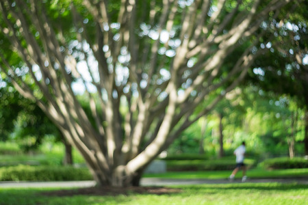 Blurred image of big tree and runner in the park.の写真素材