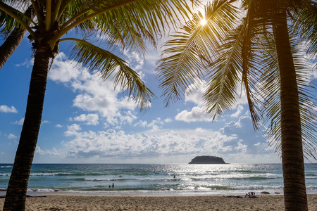 Coconut Palm tree at Kata beach in Phuket, Thailand.の写真素材