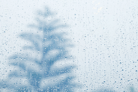 Water rain drop with tree shadow.の写真素材