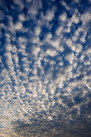 Beautiful cirrus clouds against a blue sky.の写真素材