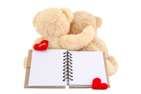 Light brown teddy bears with red heart and note book isolated on white background, Valentine's Day and concept about love.の写真素材