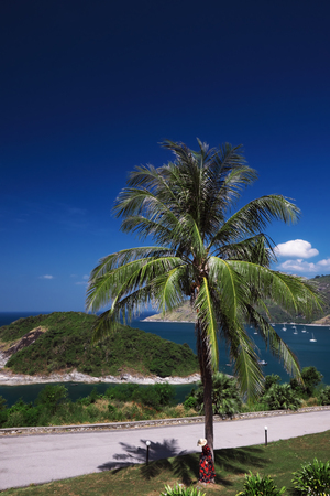 Coconut palm tree with blue sea and sky background. Phromthep cape , Phuket,Thailand.の写真素材