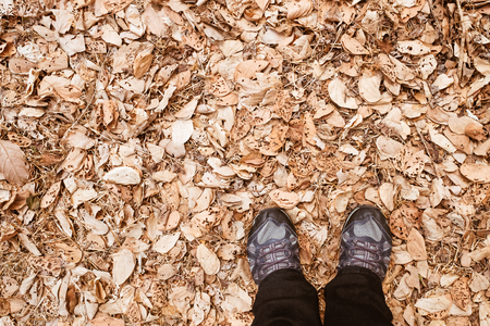 Top view of shoes on ground with dried leaf background.の写真素材