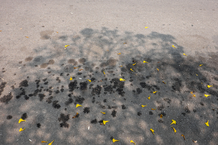 Oil slick on asphalt.の写真素材