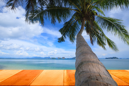 Wood plank with coconut trees by the sea, Koh Yao Noi , Phang Nga, THAILAND.の写真素材