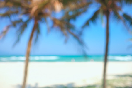 Blurred image of sea and coconut tree. Concept of beach in summer.の写真素材