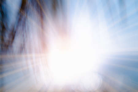Sea and coconut palm leaf  with sun rays. Blurred image for backgroundの写真素材